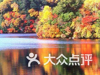 神秘的机场