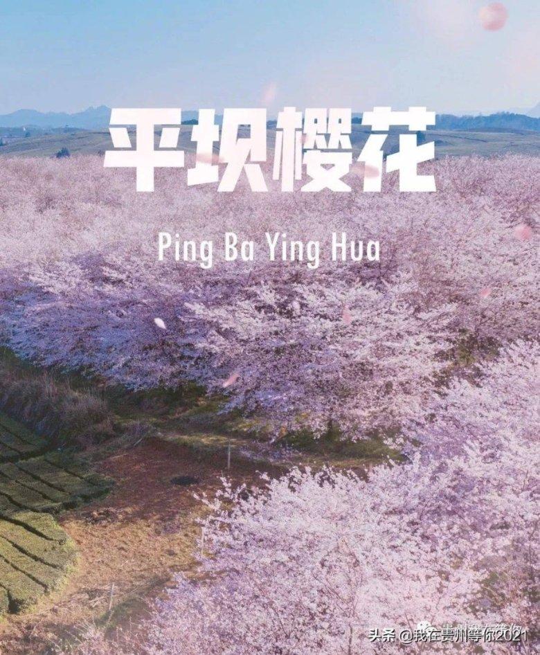 这个女文职，荣立二等功！